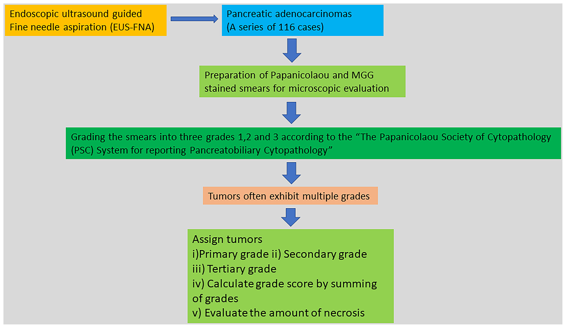Grading pancreatic adenocarcinomas on fine needle aspiration cytology. The outstanding issues