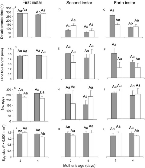 Maternal rearing condition and age affect progeny fitness in the parasitoid wasp Lysiphlebus fabarum