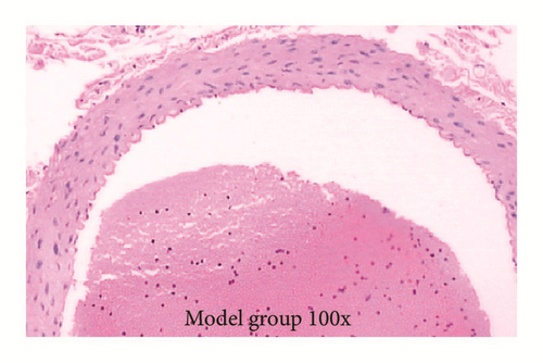 Details are in the caption following the image