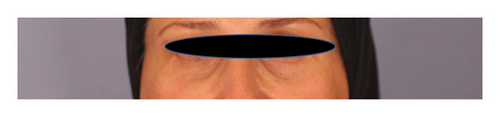 Details are in the caption following the image