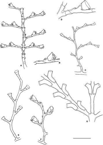 Details are in the caption following the image Details are in the caption following the image