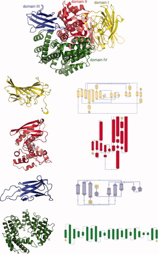 Details are in the caption following the image