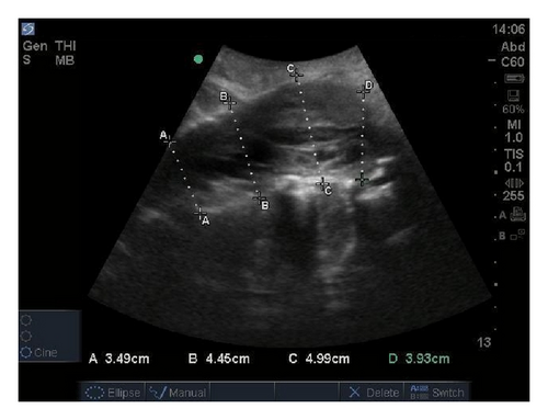 Details are in the caption following the image Details are in the caption following the image