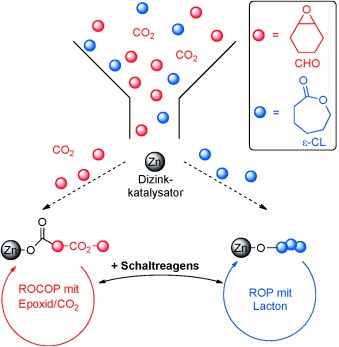 Chemoselective Polymerization Control: From Mixed-Monomer Feedstock to Copolymers