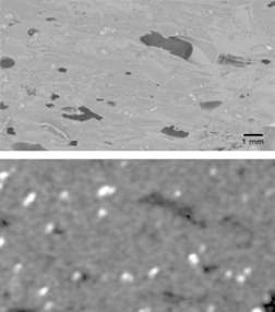 Designing Printable Medicinal Products: Solvent System and Carrier-Substrate Screening