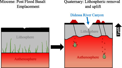 Feedback between topography and lithosphere–asthenosphere dynamics beneath the Yerer-Tulu Wellel volcano-tectonic lineament: Insights from apatite thermochronology and basalt geochemistry