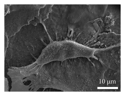 Details are in the caption following the image