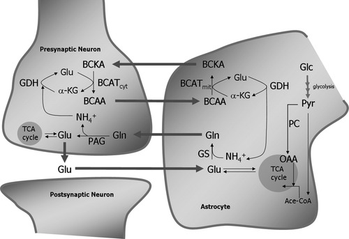 Details are in the caption following the image