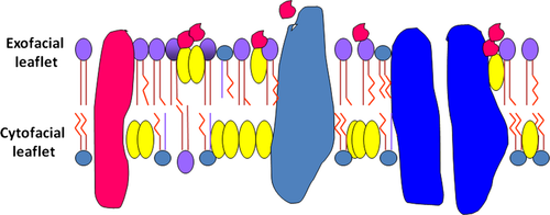 Details are in the caption following the image Details are in the caption following the image