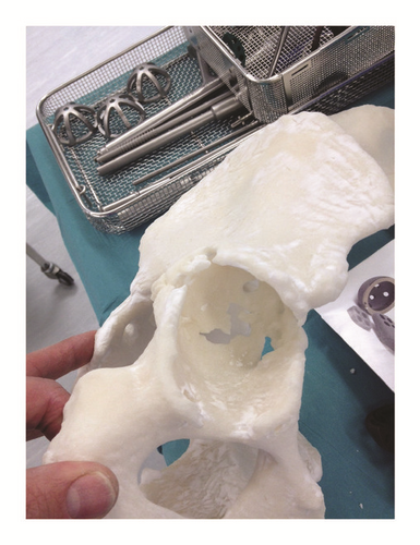 Details are in the caption following the image Details are in the caption following the image