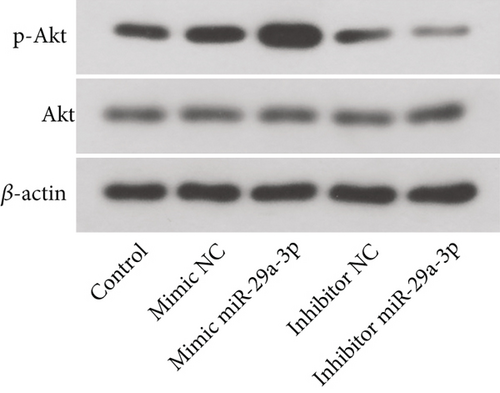 Details are in the caption following the image