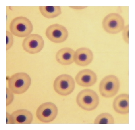 Details are in the caption following the image