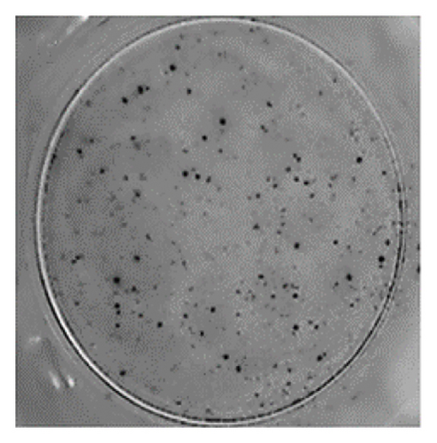 Details are in the caption following the image