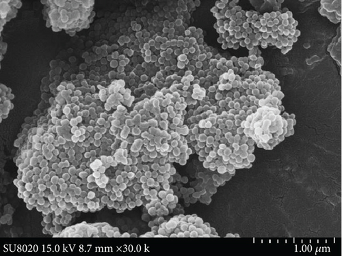 Details are in the caption following the image