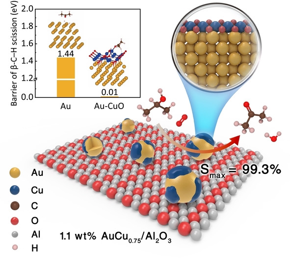 Synergy in Au−CuO Janus Structure for Catalytic Isopropanol Oxidative Dehydrogenation to Acetone