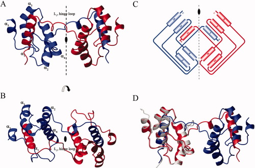 Details are in the caption following the image