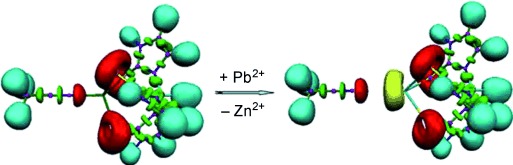 Is an Electronic Shield at the Molecular Origin of Lead Poisoning? A Computational Modeling Experiment