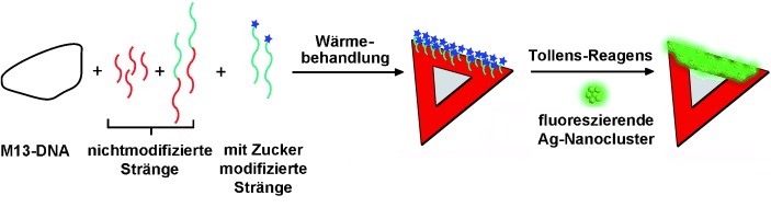 Site-Specific Synthesis and In Situ Immobilization of Fluorescent Silver Nanoclusters on DNA Nanoscaffolds by Use of the Tollens Reaction