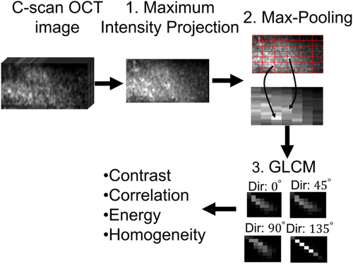 Details are in the caption following the image