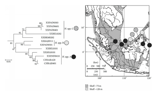 Details are in the caption following the image