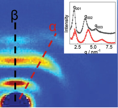 Long Chain Polyamides: Influence of Methylene Sequence Length and External Forces on Structural Features