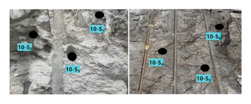 Details are in the caption following the image Details are in the caption following the image