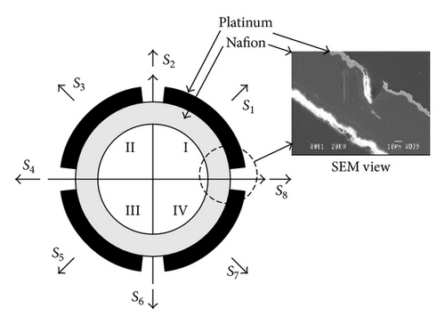 Details are in the caption following the image