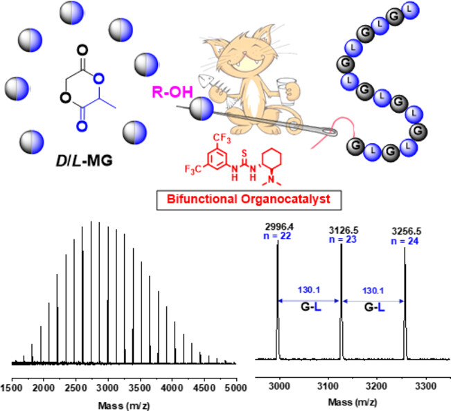 Controlled Ring-Opening Polymerization of Methyl Glycolide with Bifunctional Organocatalyst