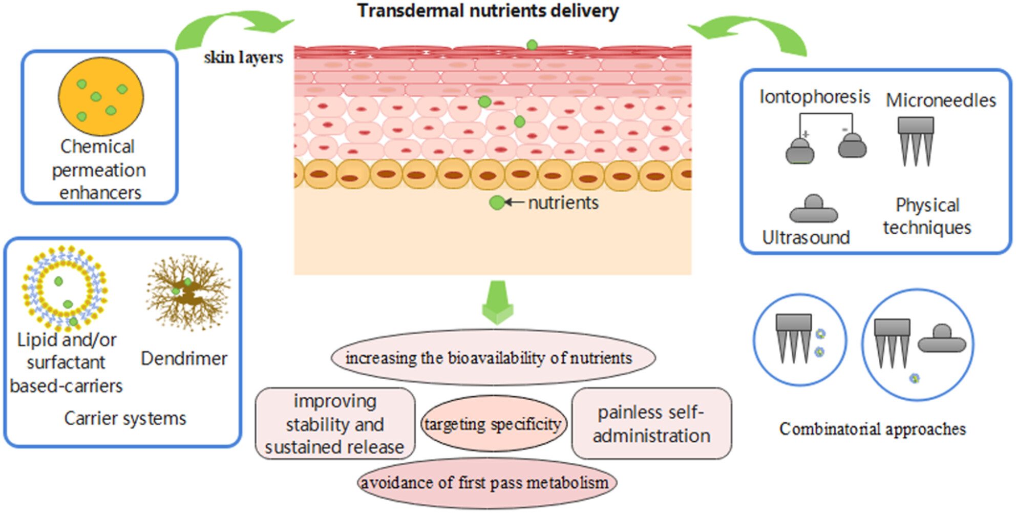 Recent advances in delivery of transdermal nutrients: A review