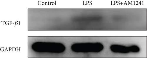 Details are in the caption following the image