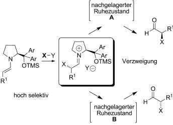 Rationalization of an Unusual Solvent-Induced Inversion of Enantiomeric Excess in Organocatalytic Selenylation of Aldehydes