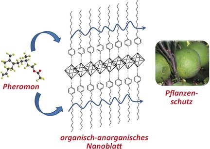 Single-Layered Hybrid Materials Based on 1D Associated Metalorganic Nanoribbons for Controlled Release of Pheromones