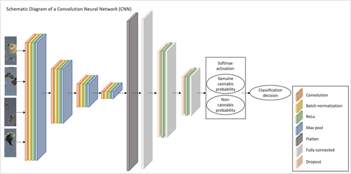 Details are in the caption following the image Details are in the caption following the image