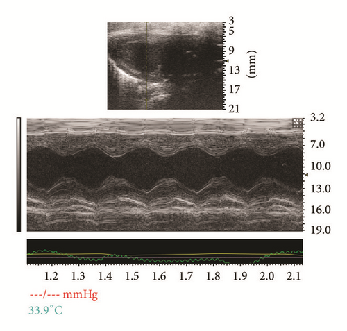 Details are in the caption following the image Details are in the caption following the image
