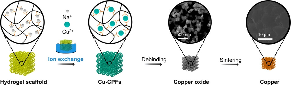 Additive Manufacturing of Micro-Architected Copper based on an Ion-Exchangeable Hydrogel