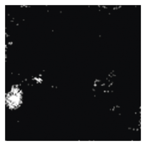 Details are in the caption following the image