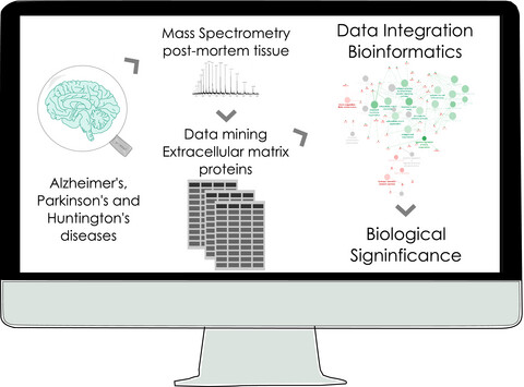 Bioinformatic analysis of the human brain extracellular matrix proteome in neurodegenerative disorders