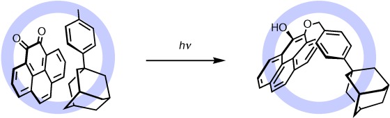 Highly Selective Photomediated 1,4-Radical Addition to o-Quinones Controlled by a Self-Assembled Cage
