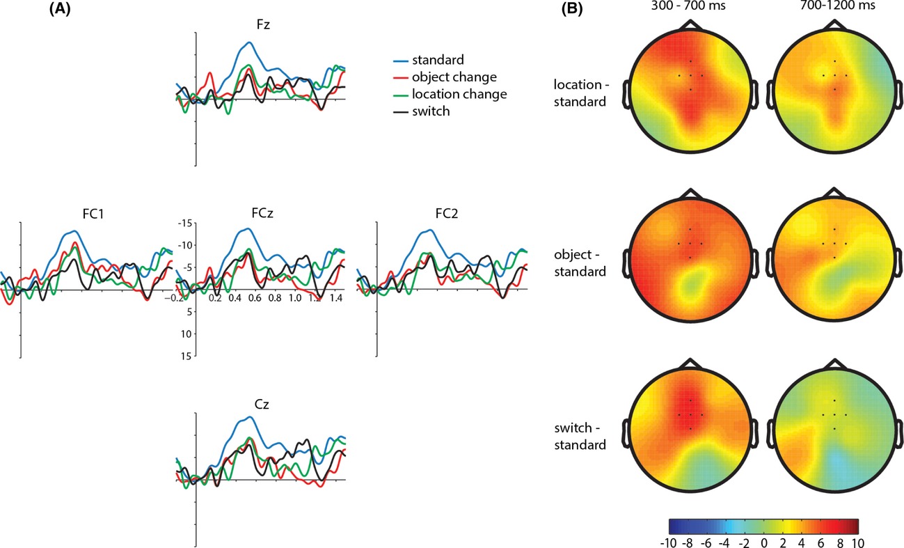 Infants' object location and identity processing in spatial scenes: an ERP study