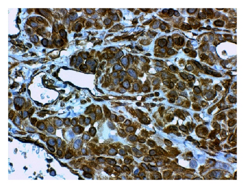 Details are in the caption following the image