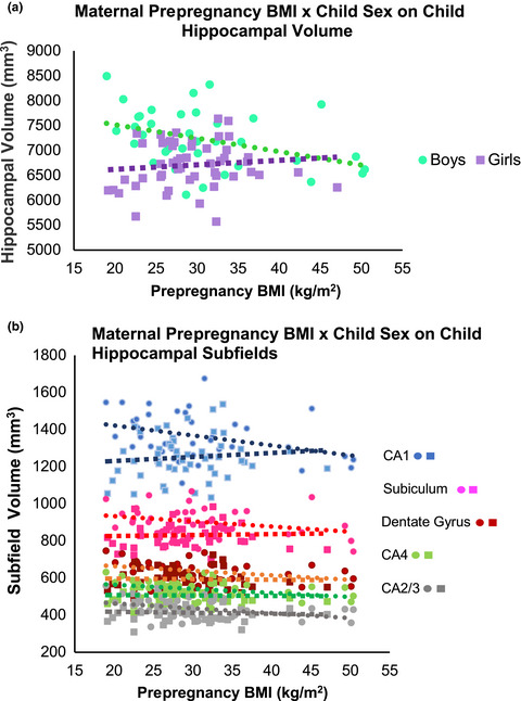 Sex differences in the association between prenatal exposure to maternal obesity and hippocampal volume in children