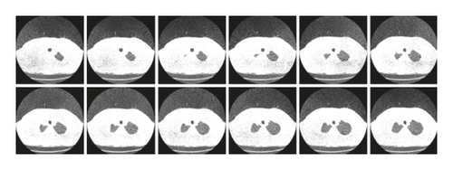 Details are in the caption following the image Details are in the caption following the image