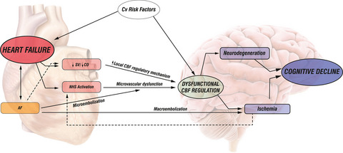 Cerebral blood flow impairment and cognitive decline in heart failure