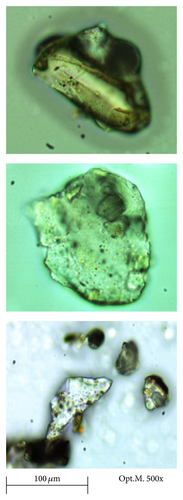 Details are in the caption following the image Details are in the caption following the image