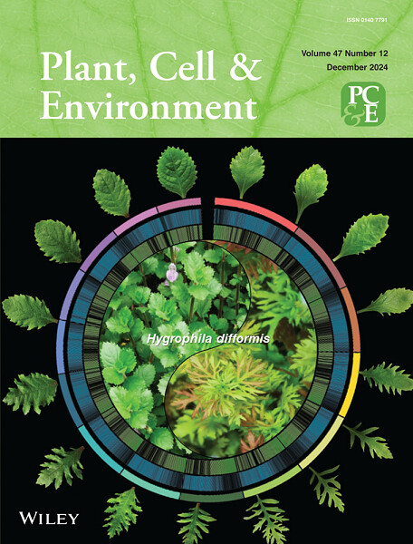 Outside Front Cover Image Volume 47 Issue 12, 2024