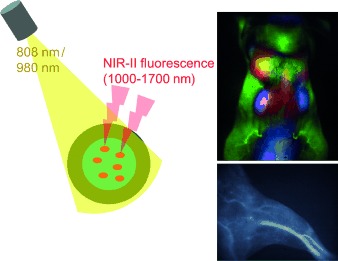 Biological Imaging Using Nanoparticles of Small Organic Molecules with Fluorescence Emission at Wavelengths Longer than 1000 nm