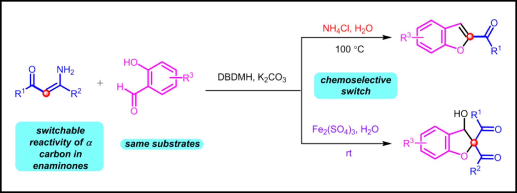 Chemodivergent Synthesis of Benzofurans and 2,3-Dihydrobenzofurans via Tandem Oxidative Annulation of Enaminones and Salicylaldehydes