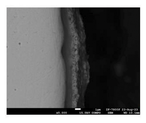 Details are in the caption following the image