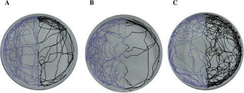 Do pygidial secretions of dung beetles have the potential to repel urban pest ants?