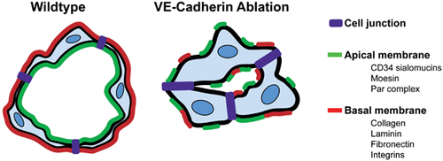 Details are in the caption following the image